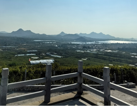 平度大澤山葡萄園引進(jìn)萊恩德土壤肥料檢測(cè)儀， 輕松掌握土壤營(yíng)養(yǎng)